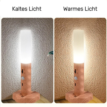 Torch LED Night Light
