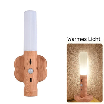 Torch LED Night Light